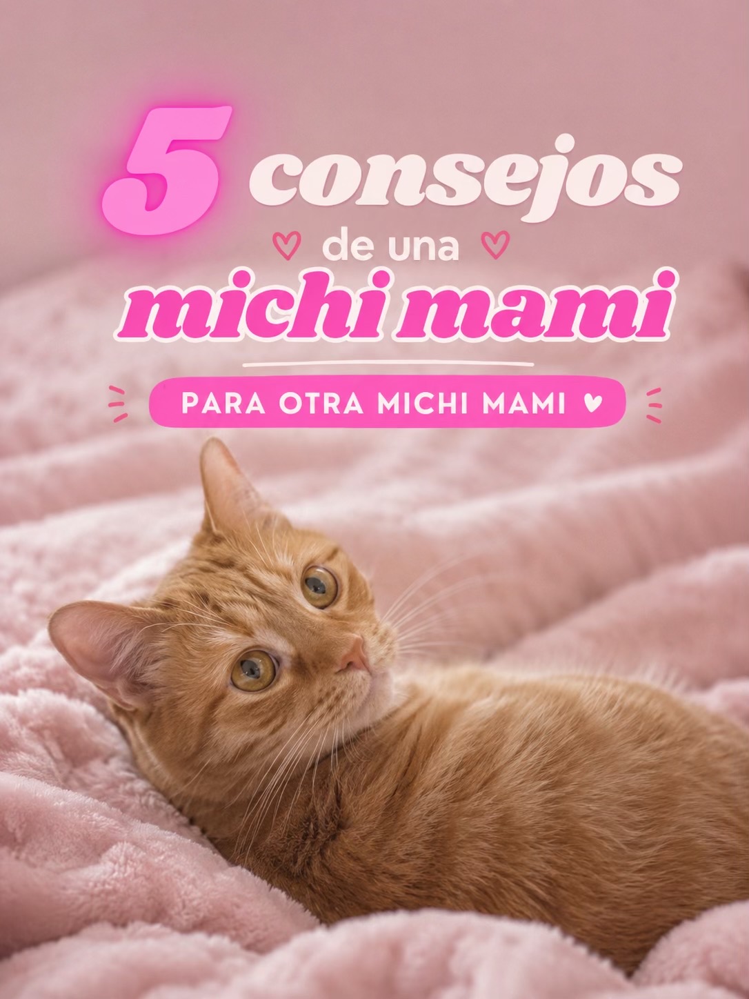 @- Alejandra  🐱💕