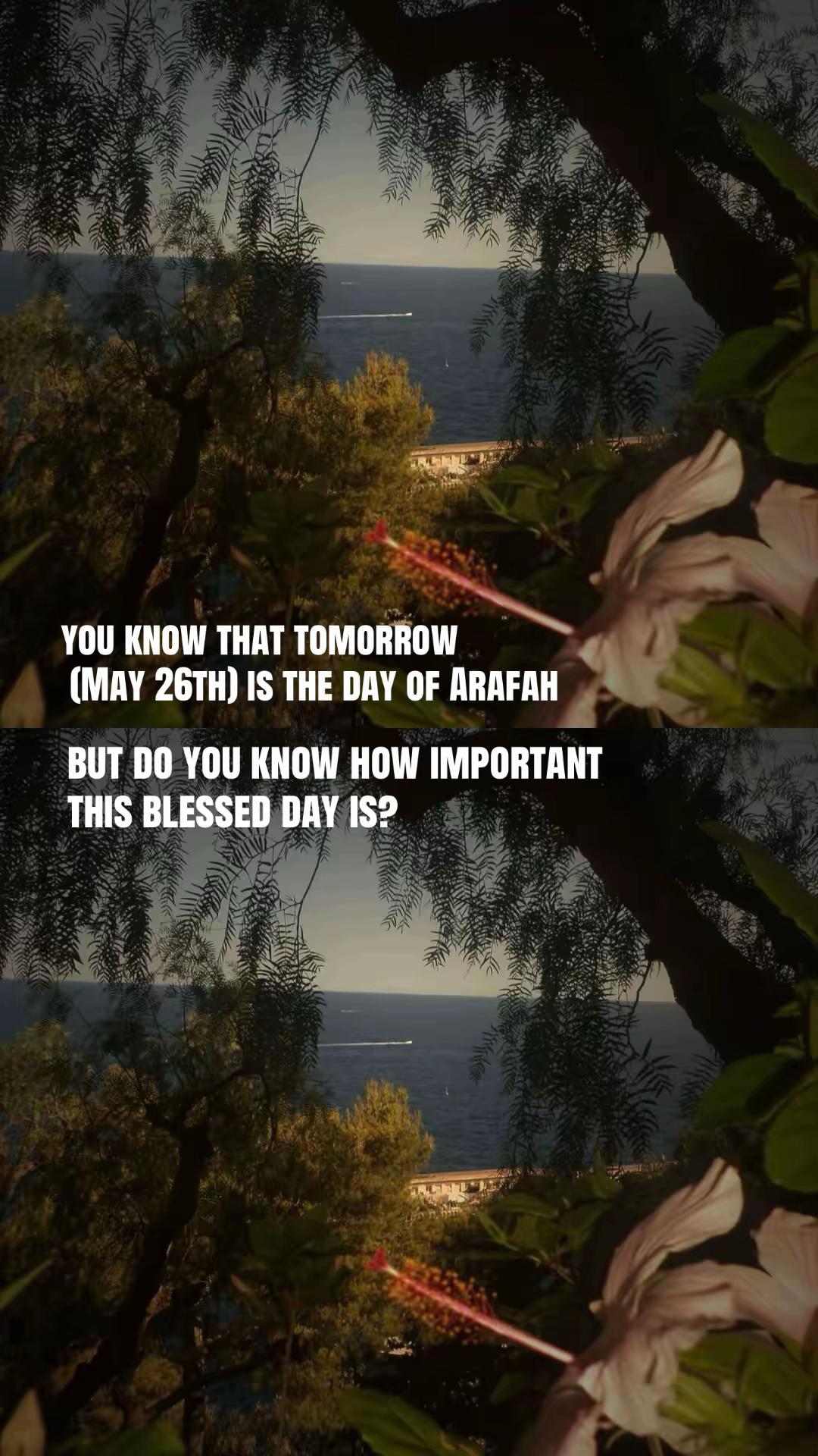 @🌺