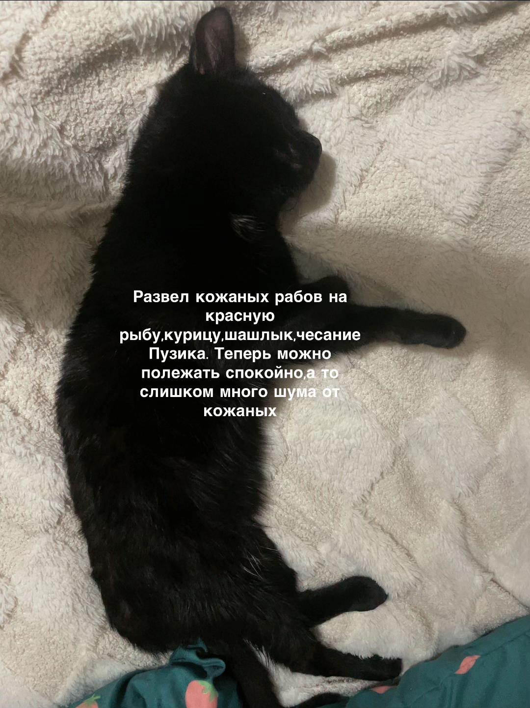 @xomstna