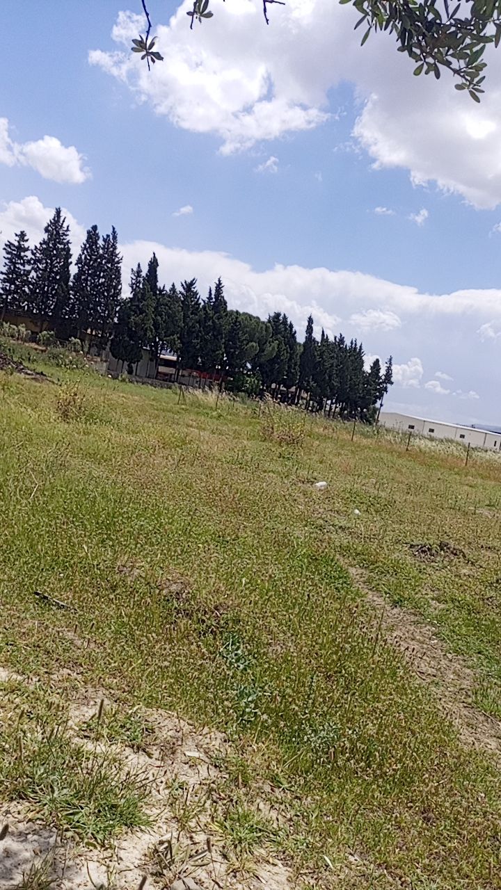 @karaman09