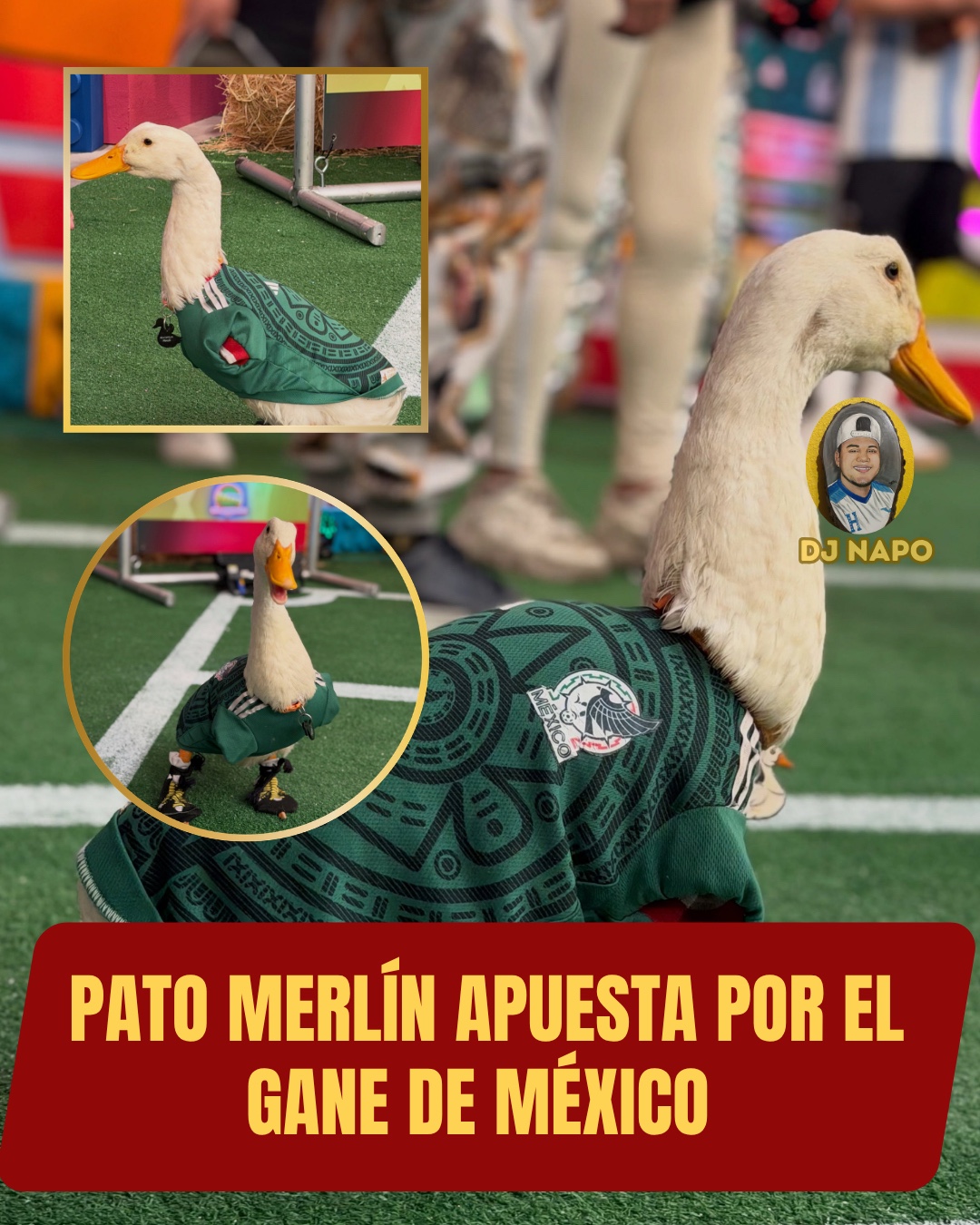 @NapoNoticias