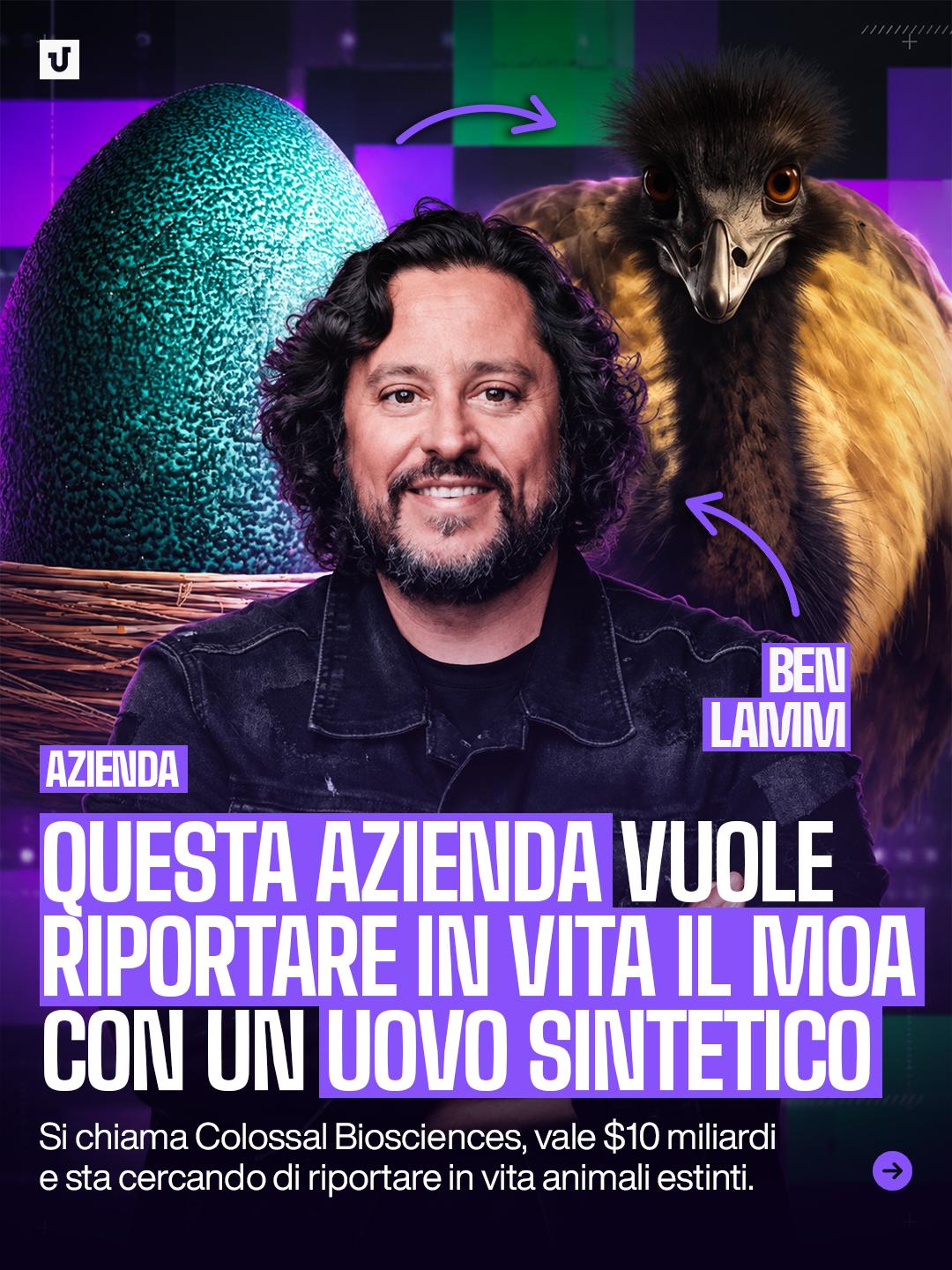 @Unitopia Media