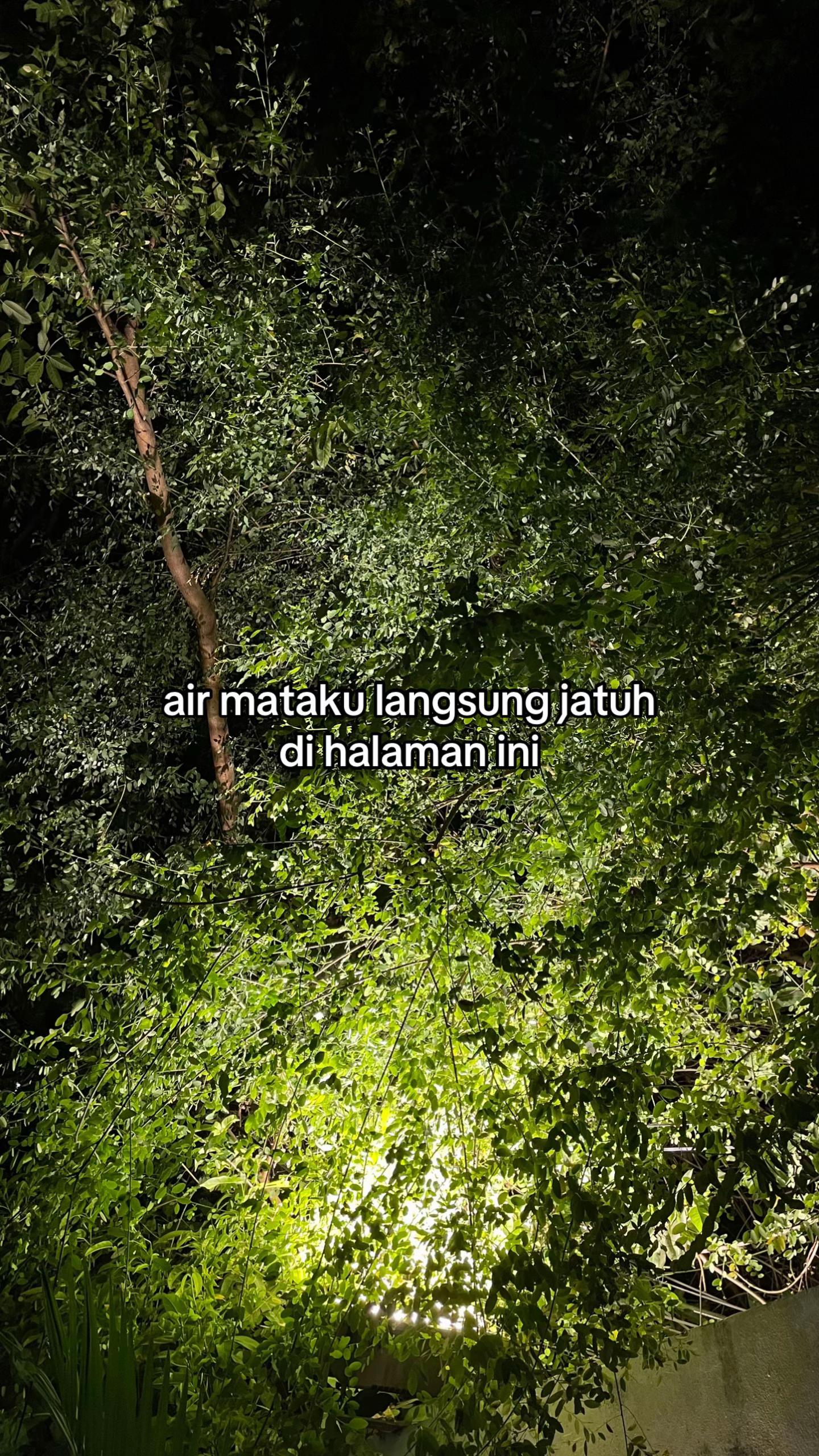 @Umar Nawir