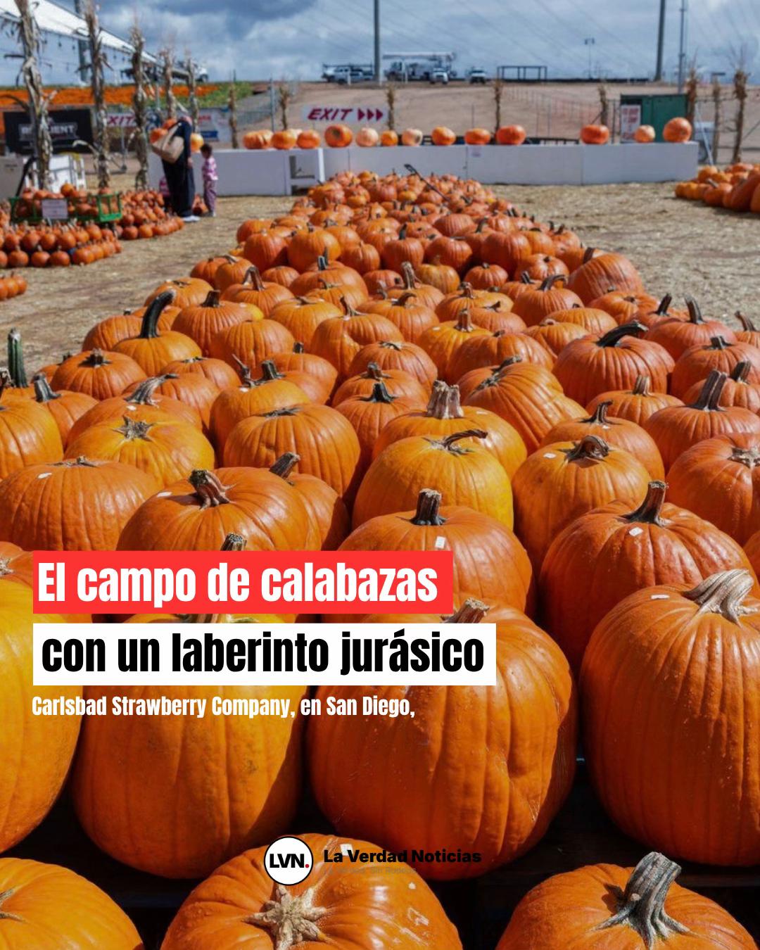 @lvn_noticias