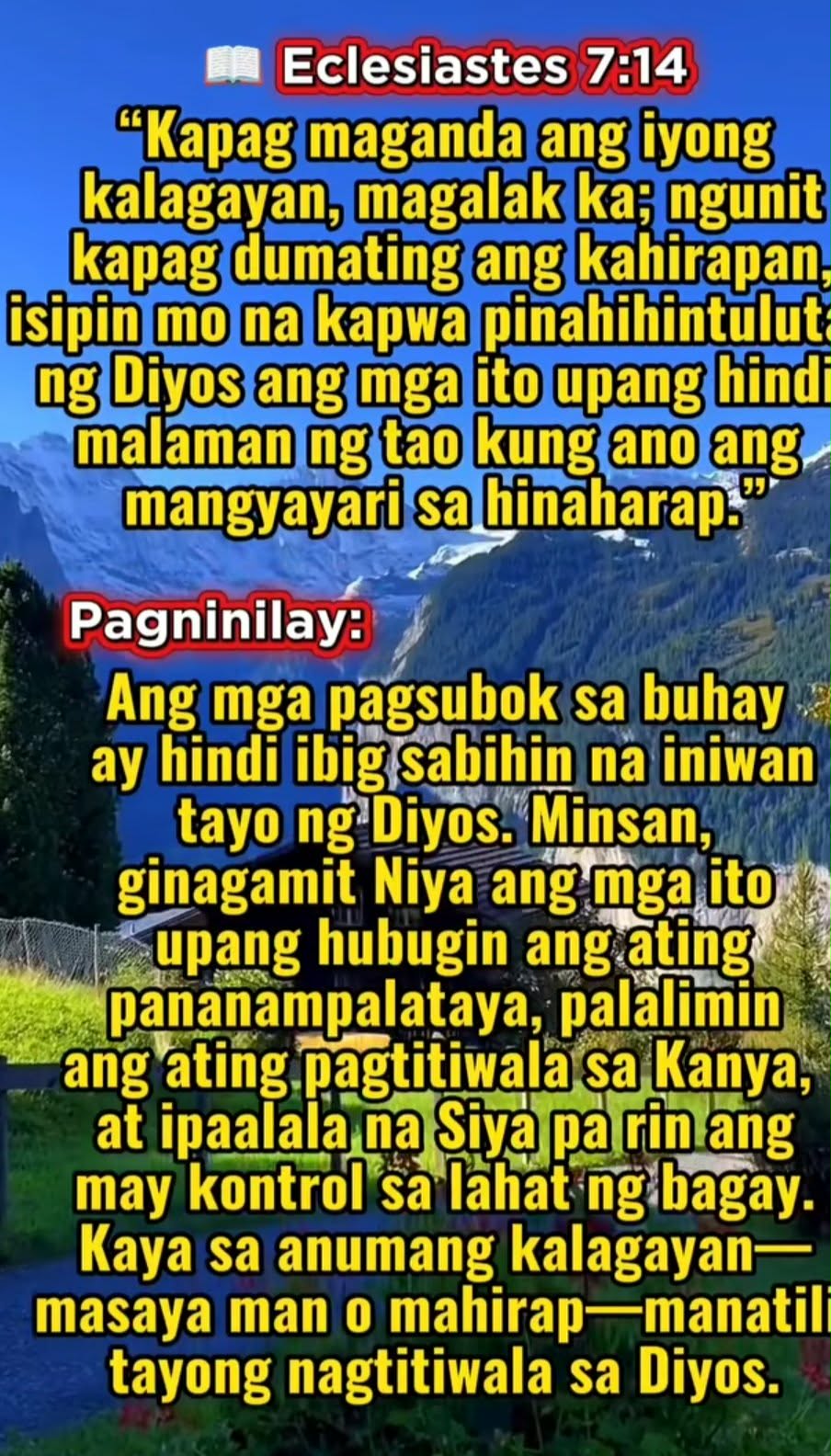 @nimfa ray
