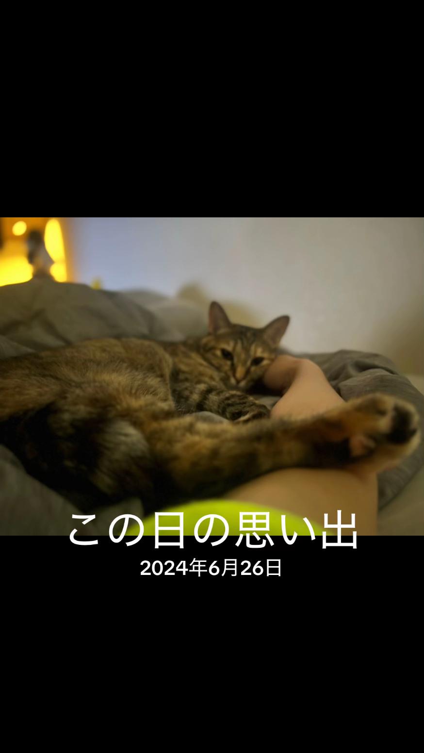 @キミにぴーめろ🍭🔮🐰💗