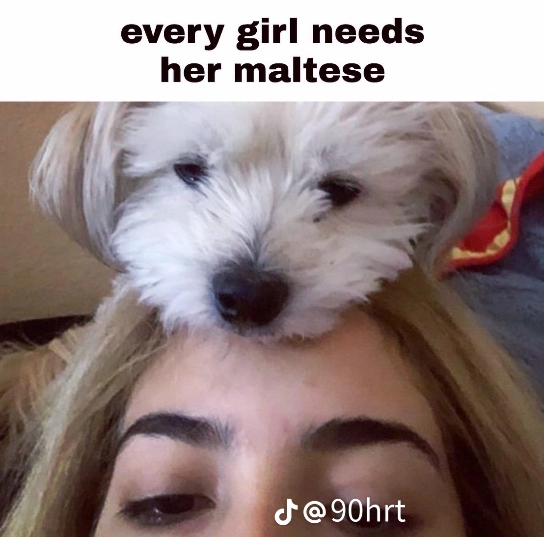 @elycesophiaspam