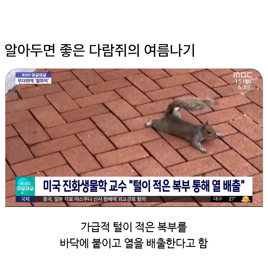 @로이젤