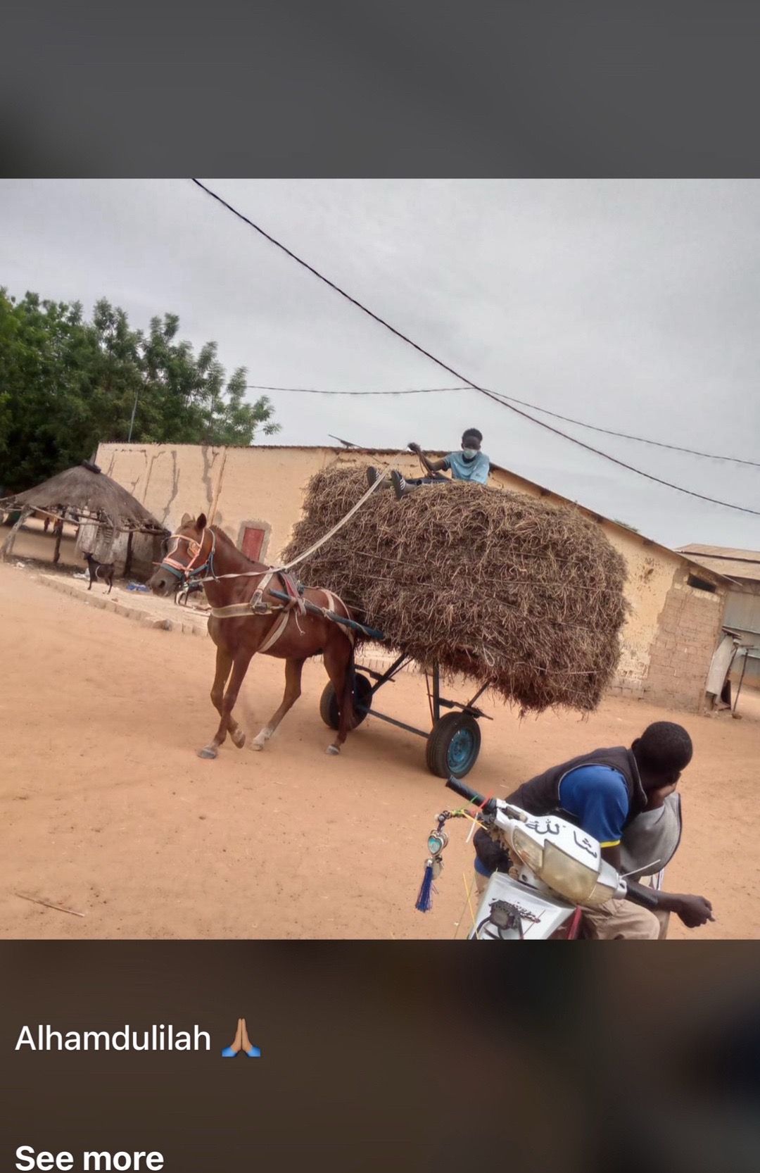 @modou fall