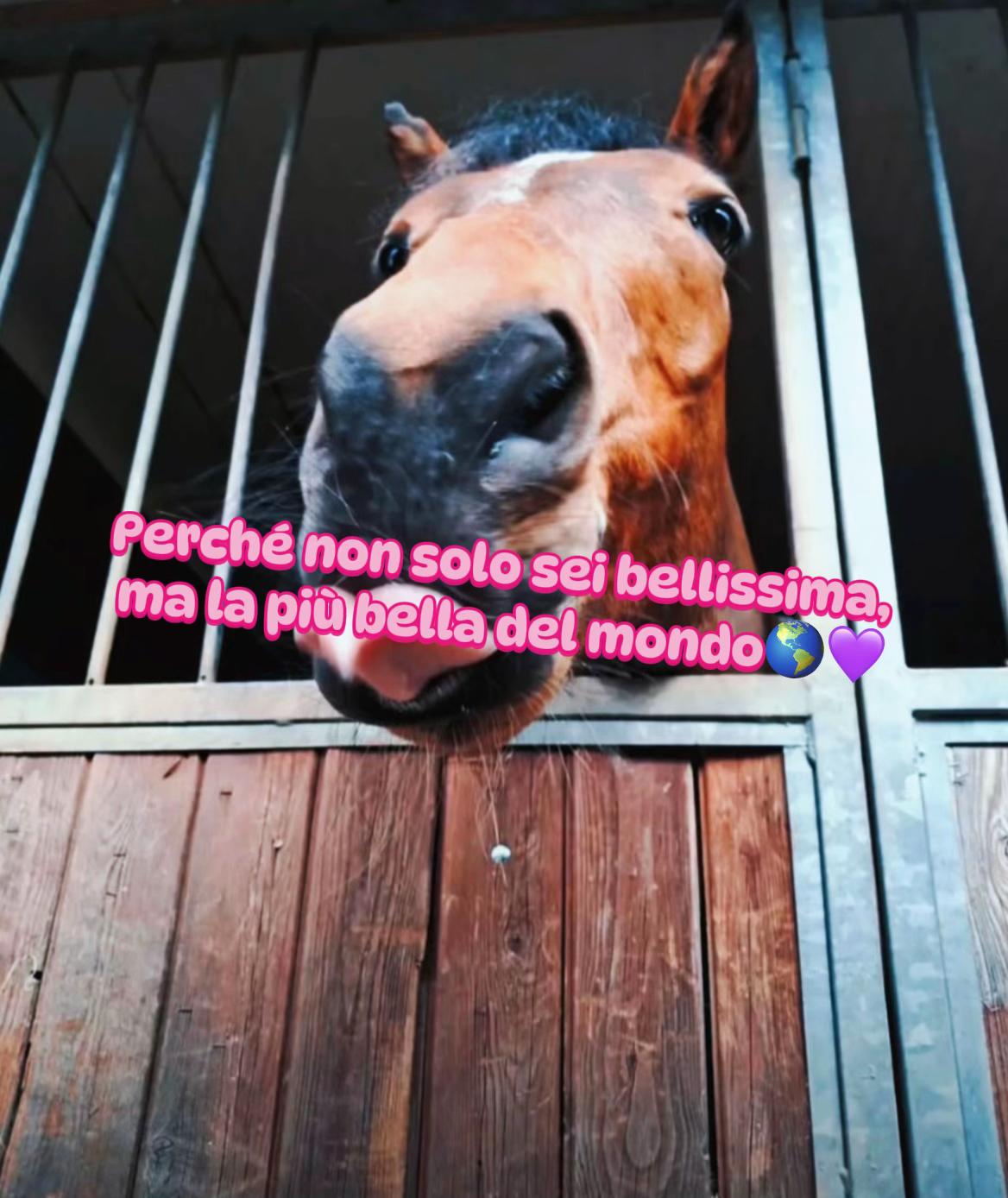 @martiiiii🩵