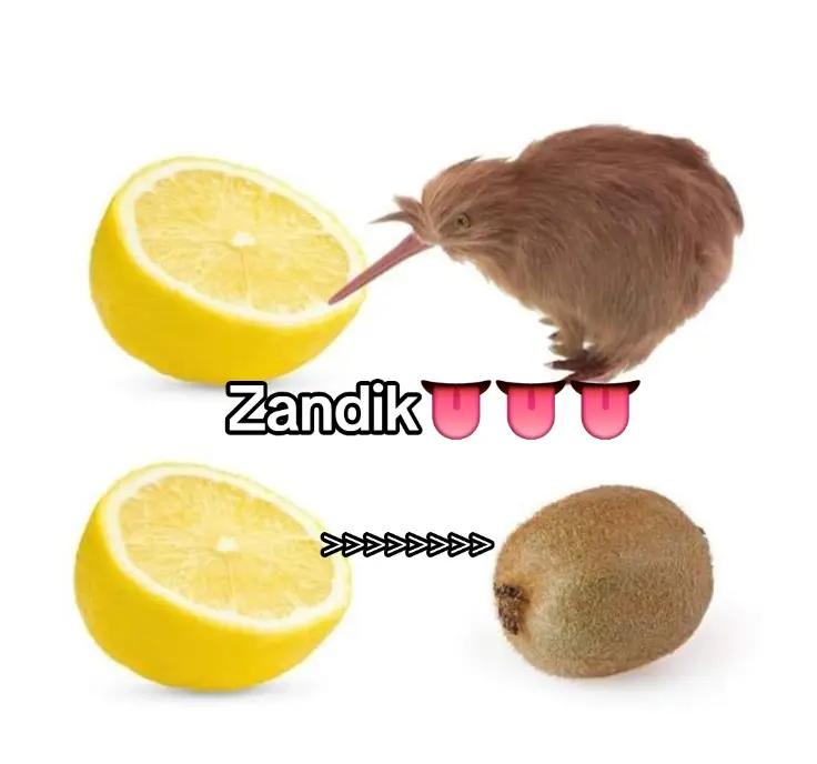 @～ 𝄞 ○ 🍊