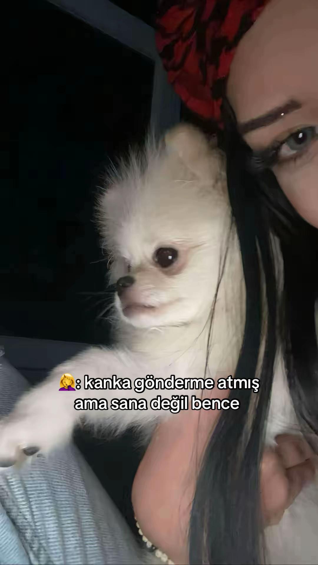 @istwyagmur