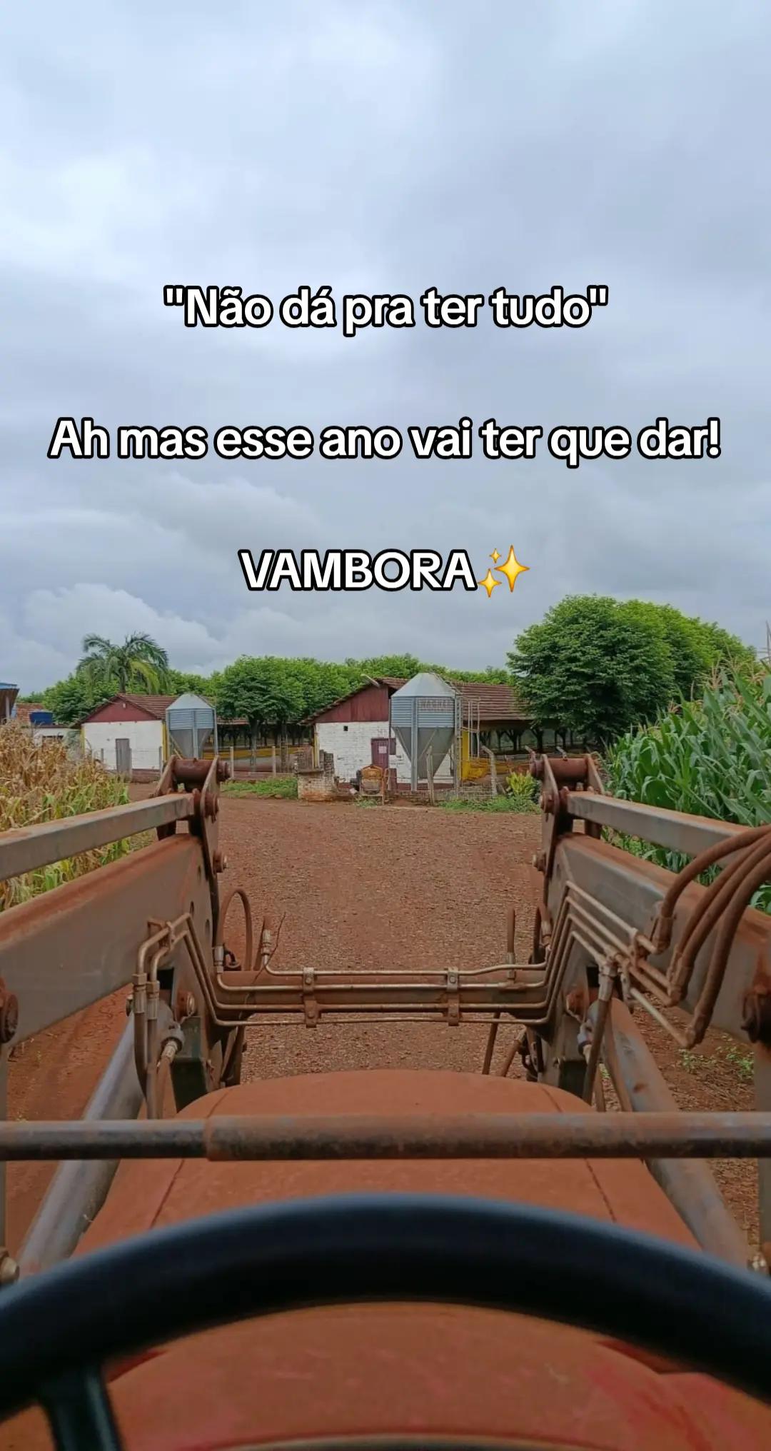 @Bruna Grazieli