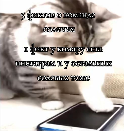 @komaruys