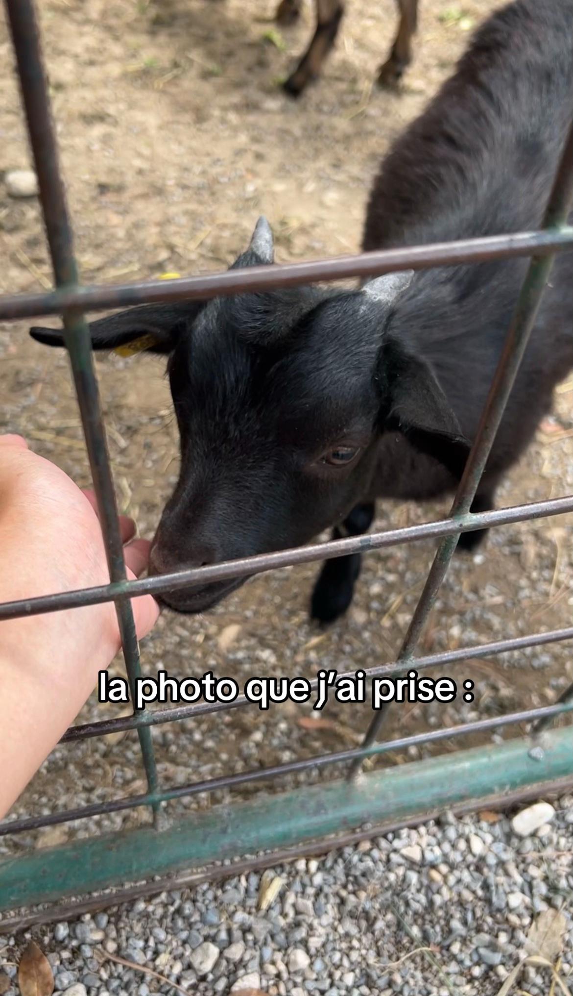 @່