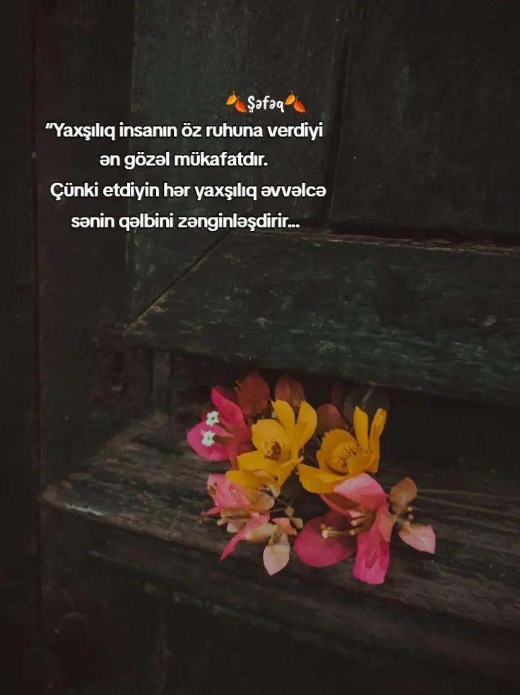 @🍂Shafaq🍂