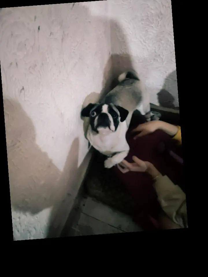 @09123