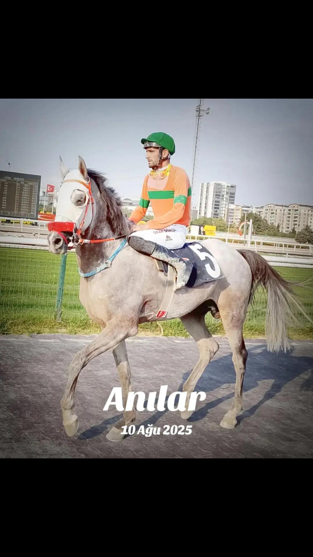 @brs horse racing