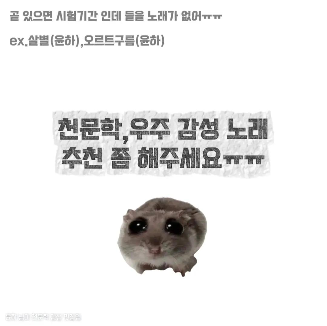 @𝗣𝗟𝗘𝗜𝗔𝗗𝗘𝗦🌠