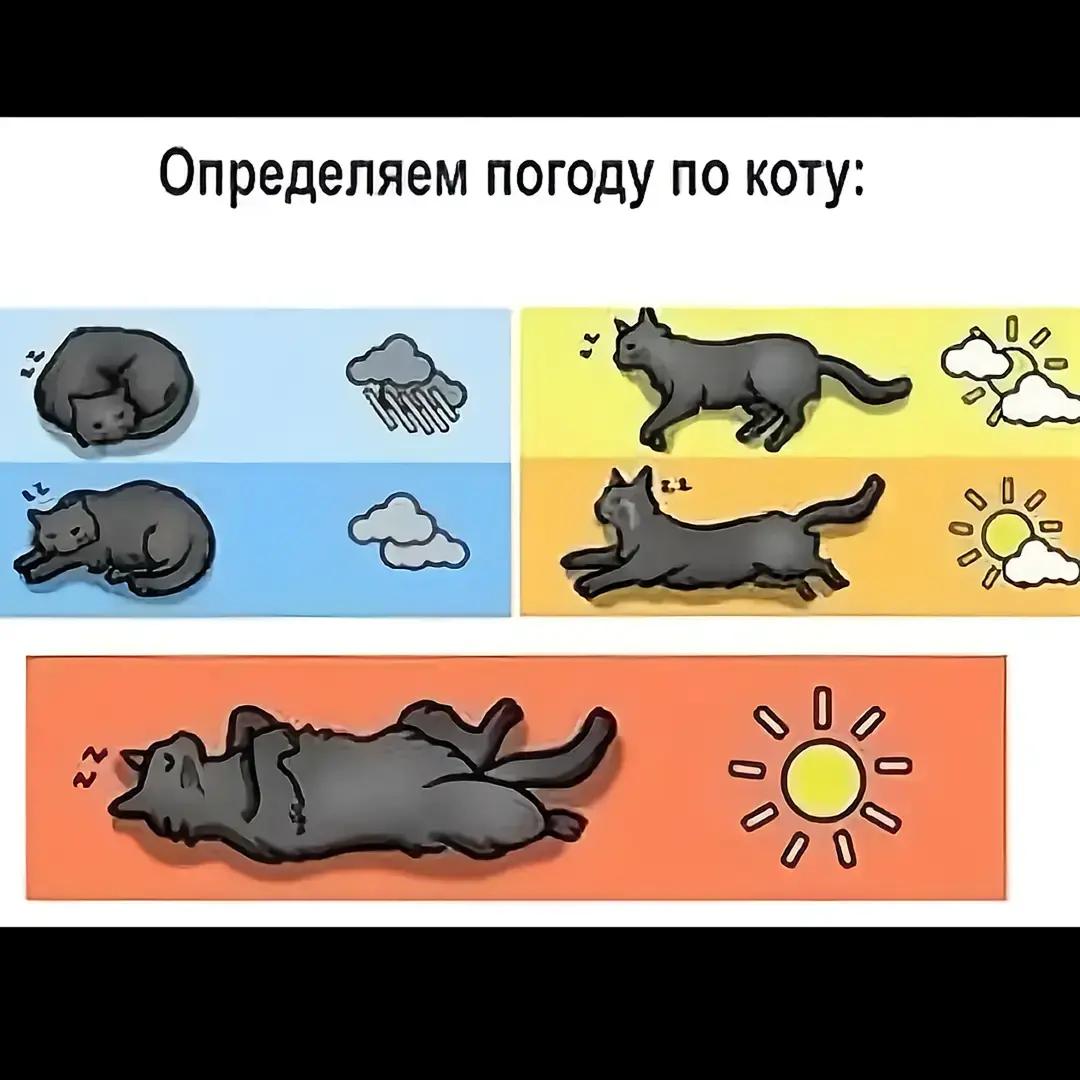 @KoloBok