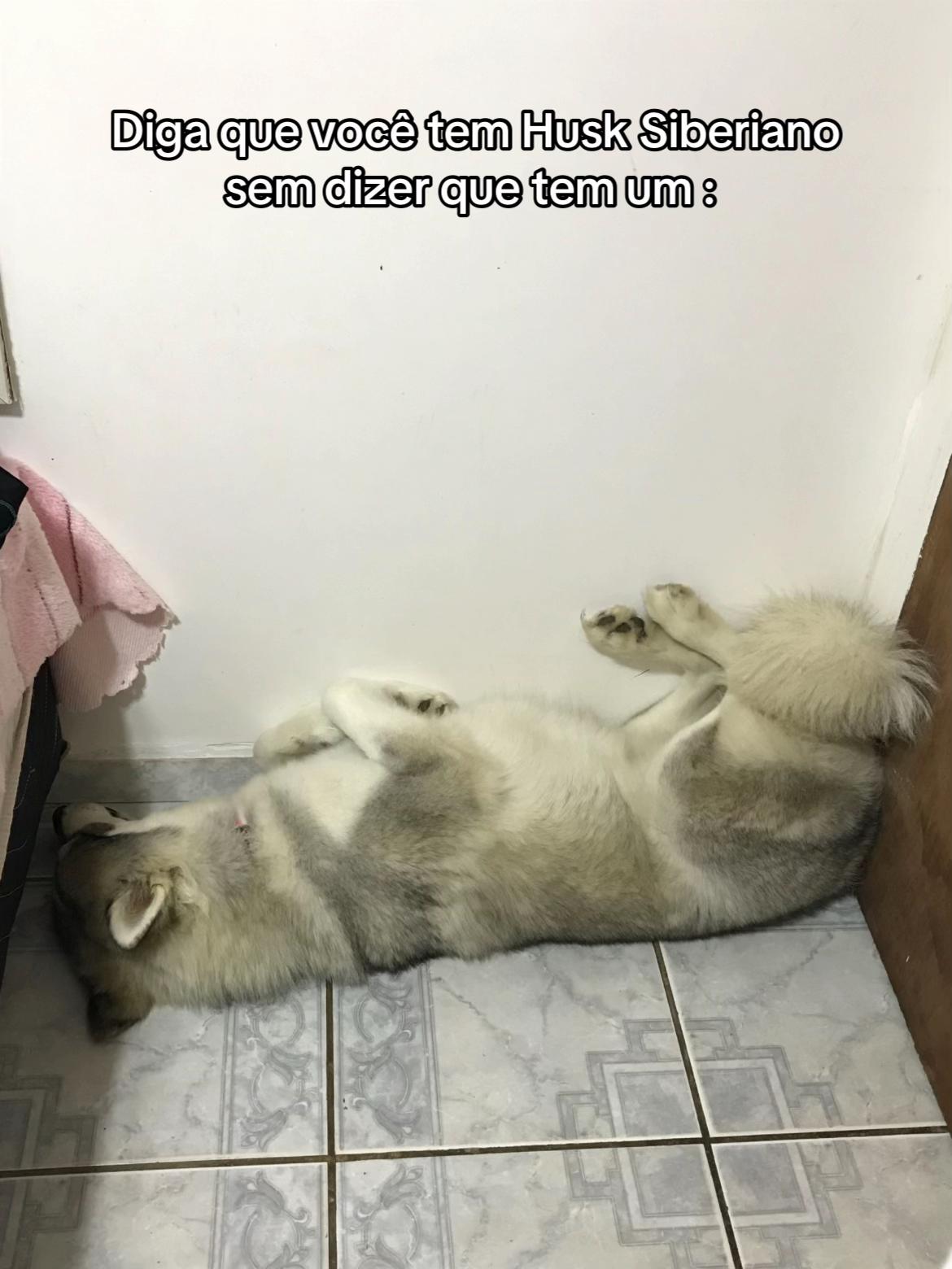 @yasminsabinno