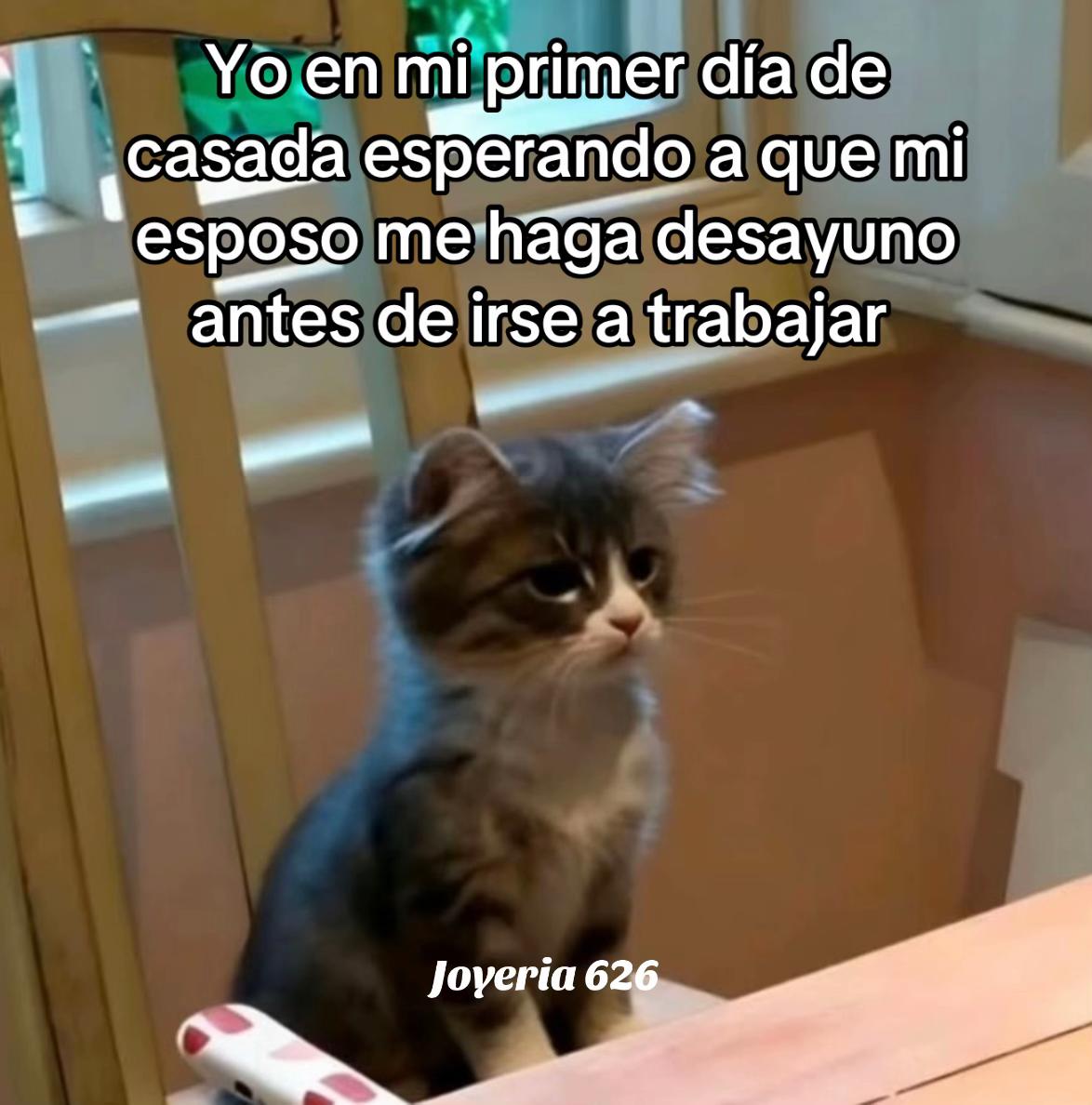 @Joyer&iacute;a 626