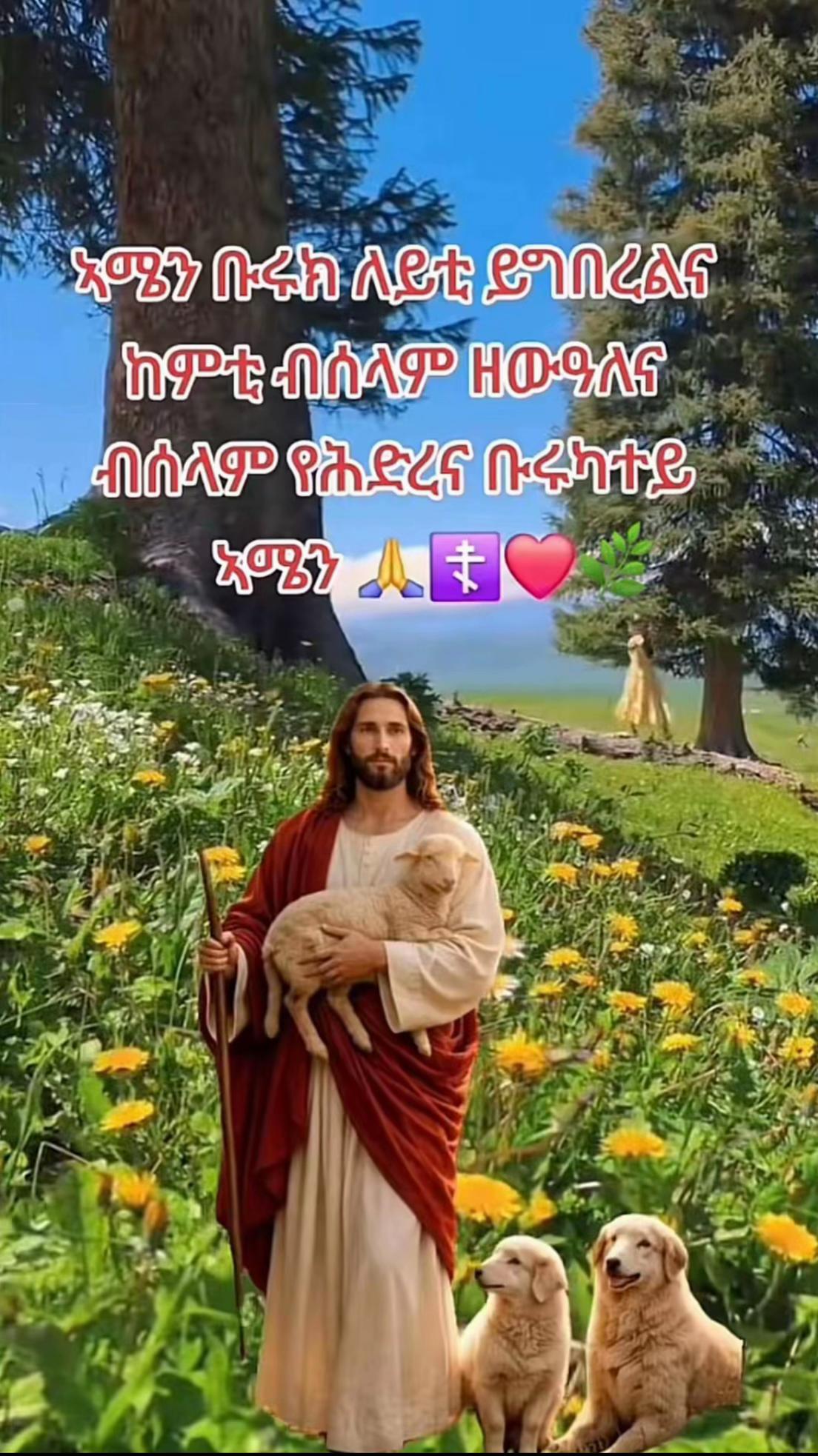 @Simon😍🇪🇷¥_~yoley