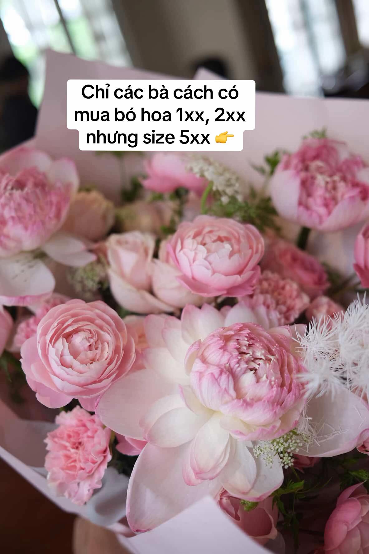 @Ỏn Ẻn