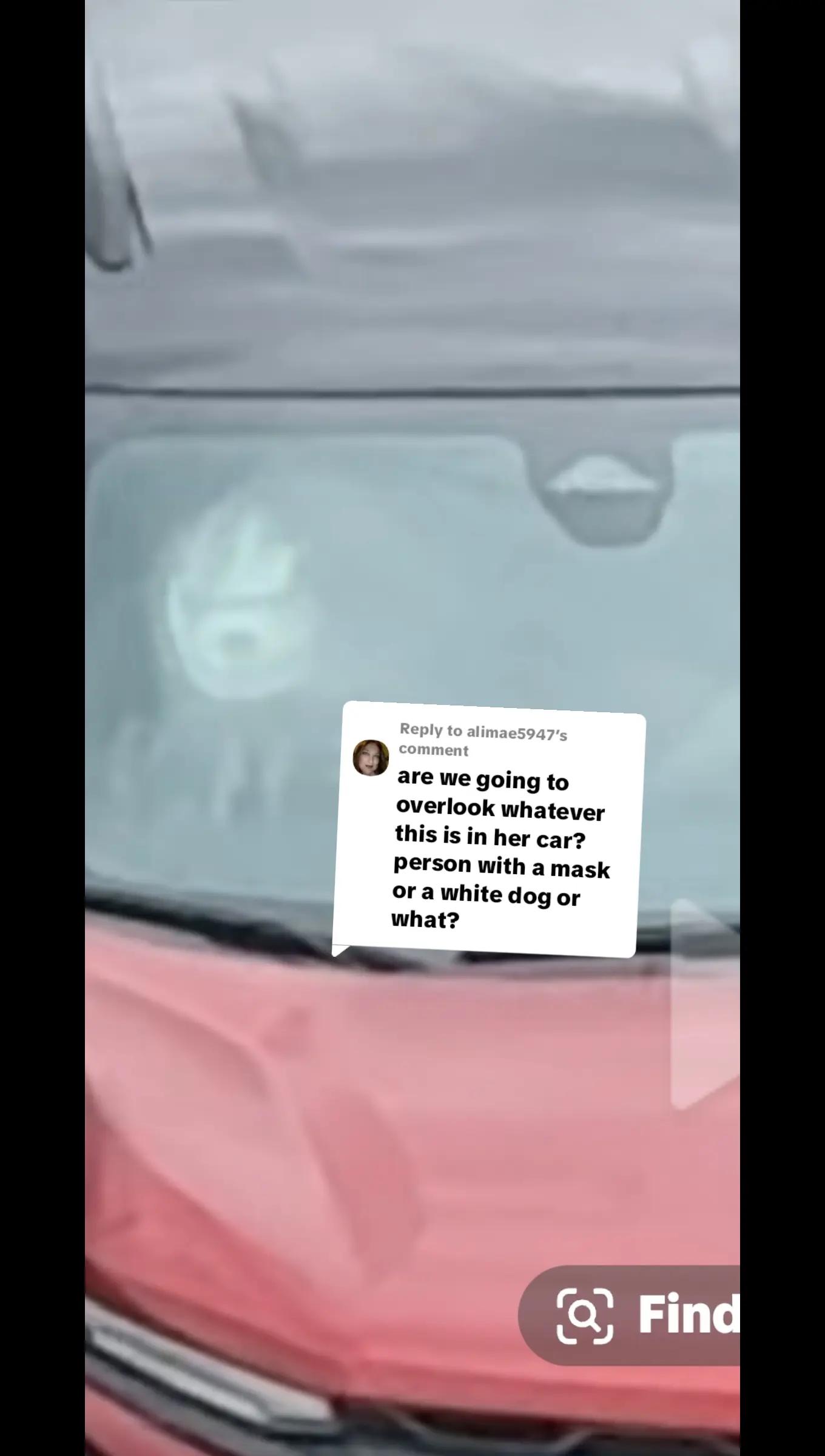 @AliMae