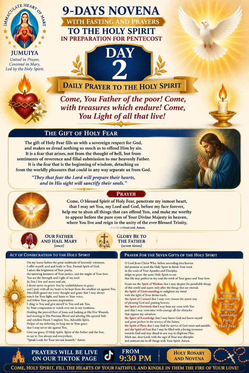 @IMMACULATE HEART OF MARY❤️