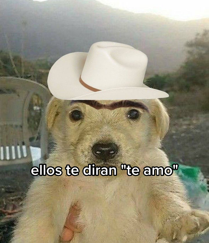 @🤍