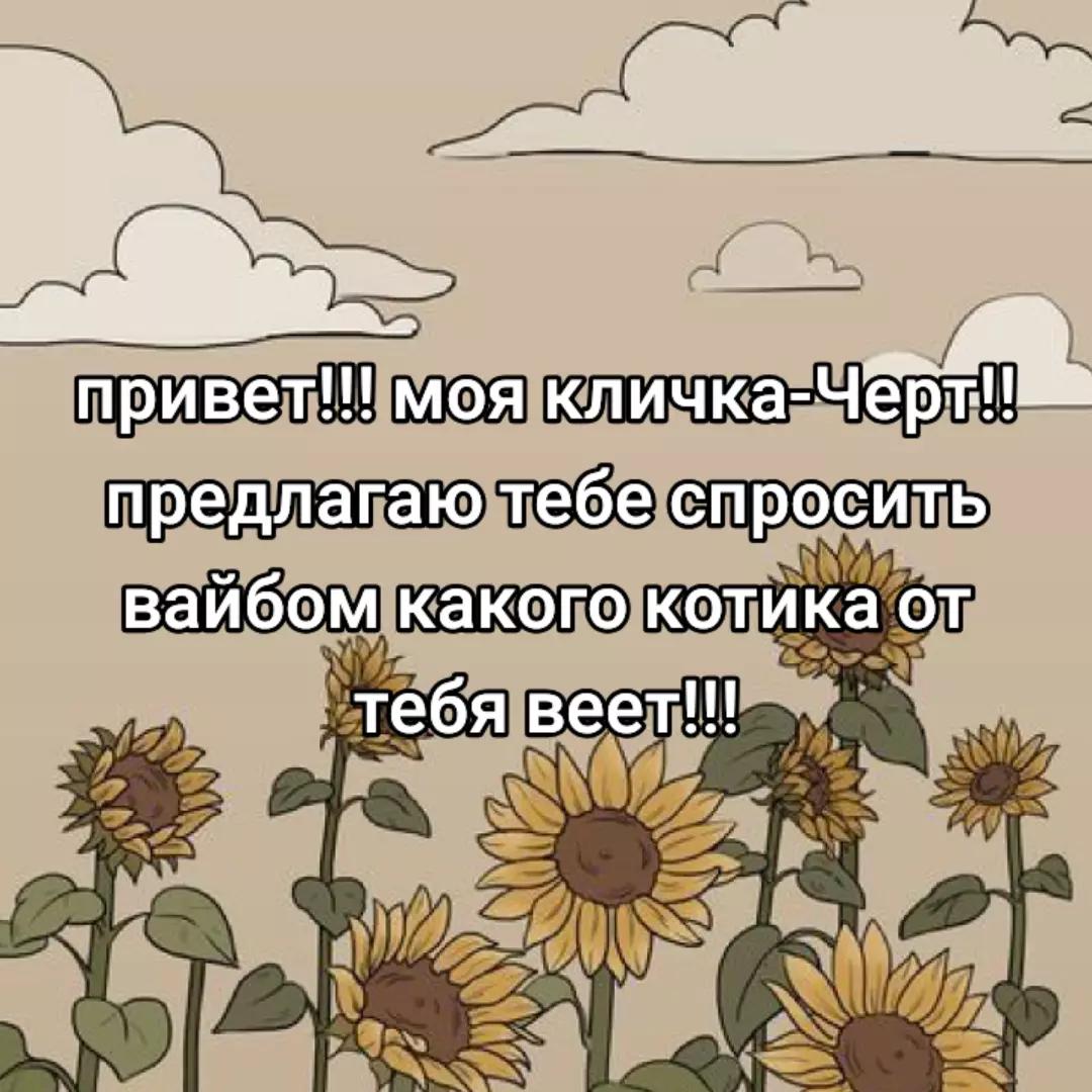 @Черт!!!💠