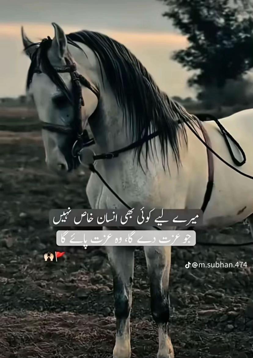 @Team singer Gulaab