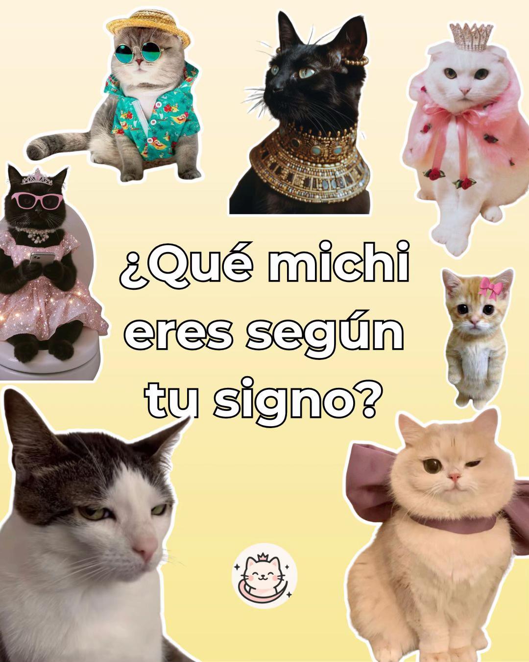 @Petlife
