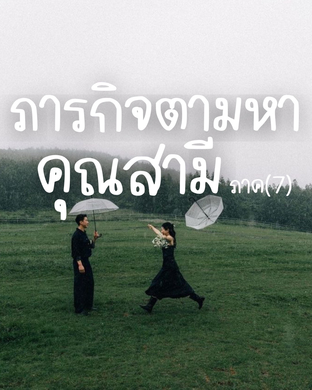 @แมวเซา พยากรณ์🔮