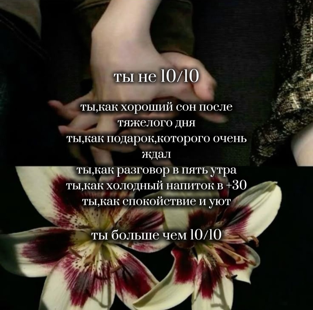 @вирксис