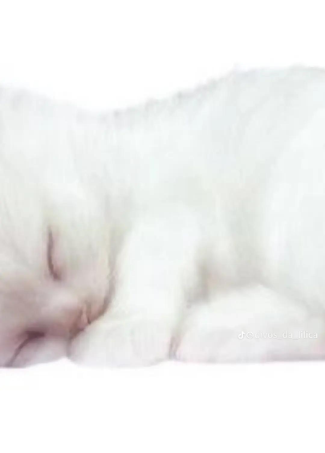 @⍰ 🍥 𝕤◌ა𖦹 ᗢ◌ ᩚ ᳝ ࣪ ׅ ׅ