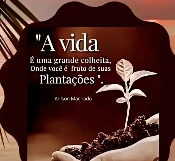 @Rosa
