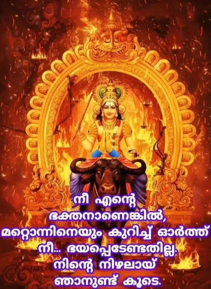 @Geetha nilappanayil 😍😍😍