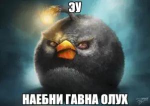 @Skiba