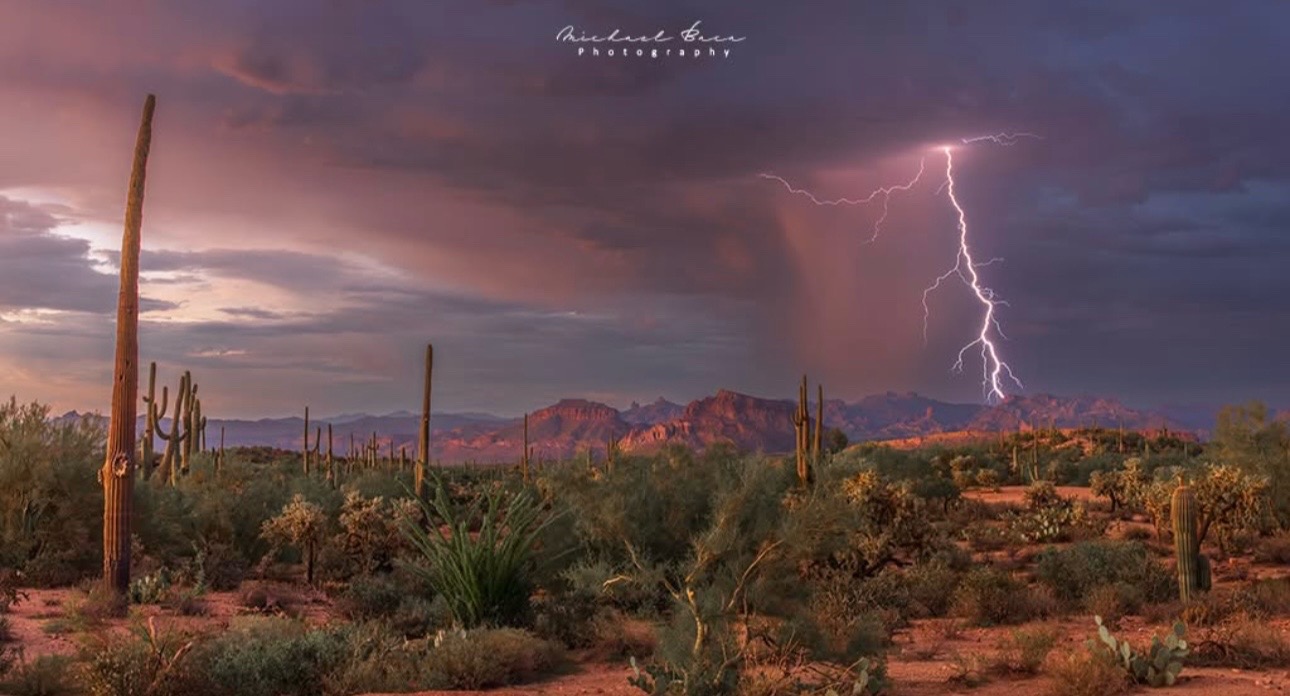 @☀️🌵Arizona 🌵 ☀️