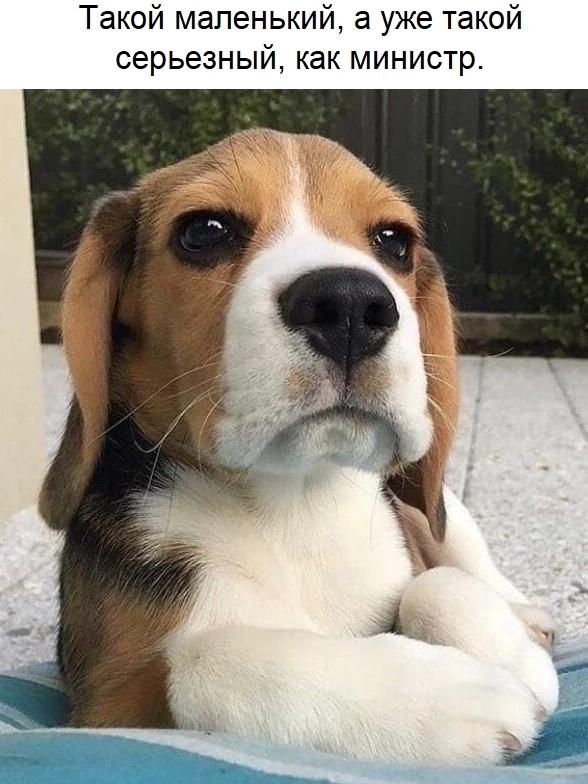 @Денис Манис !