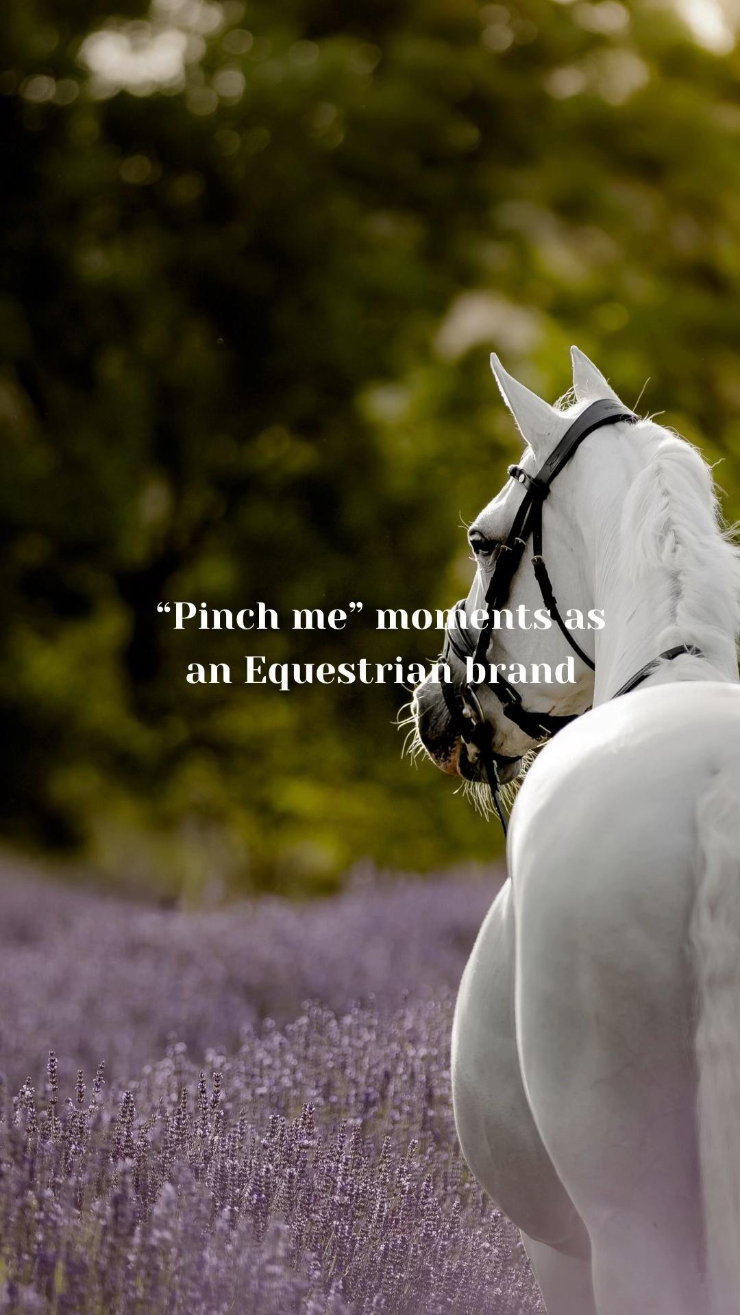 @LumiereEquestrian