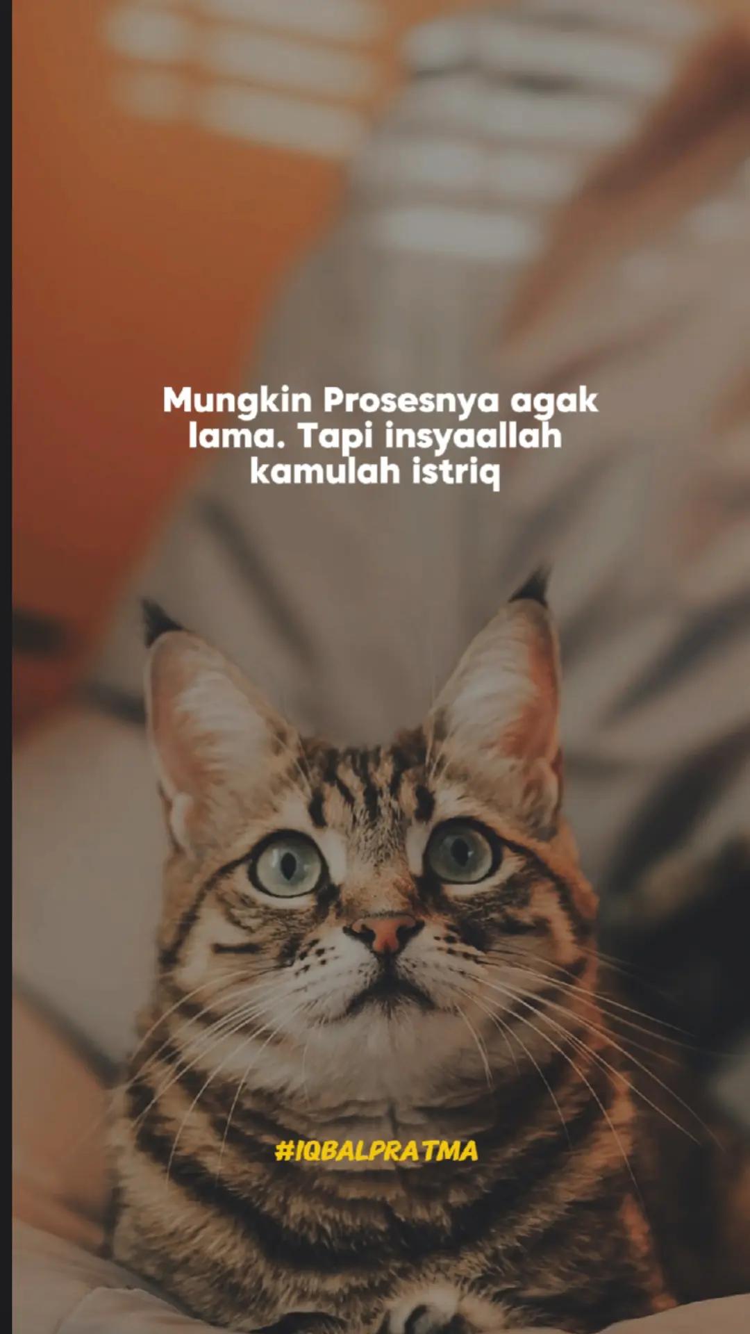 @ɪQʙᴀʟᴘʀᴀᴛᴀᴍᴀ✪