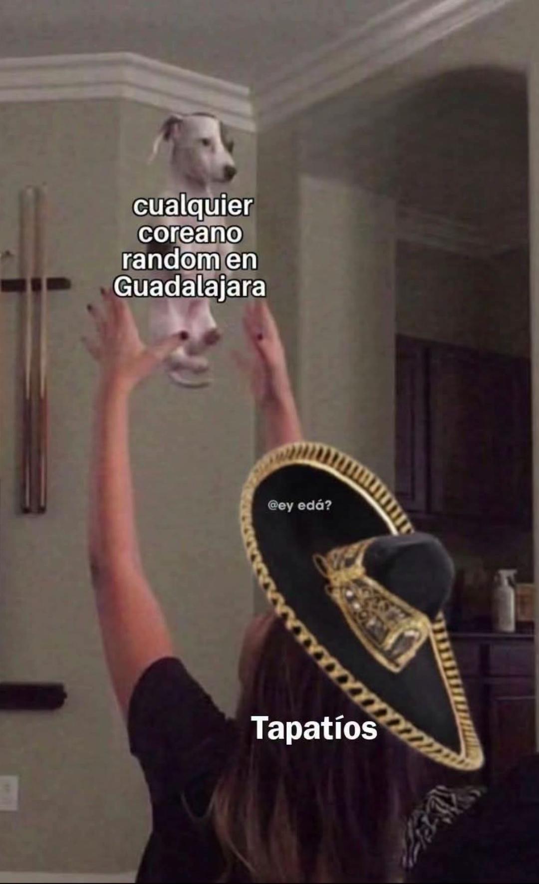 @tigrillo_mx