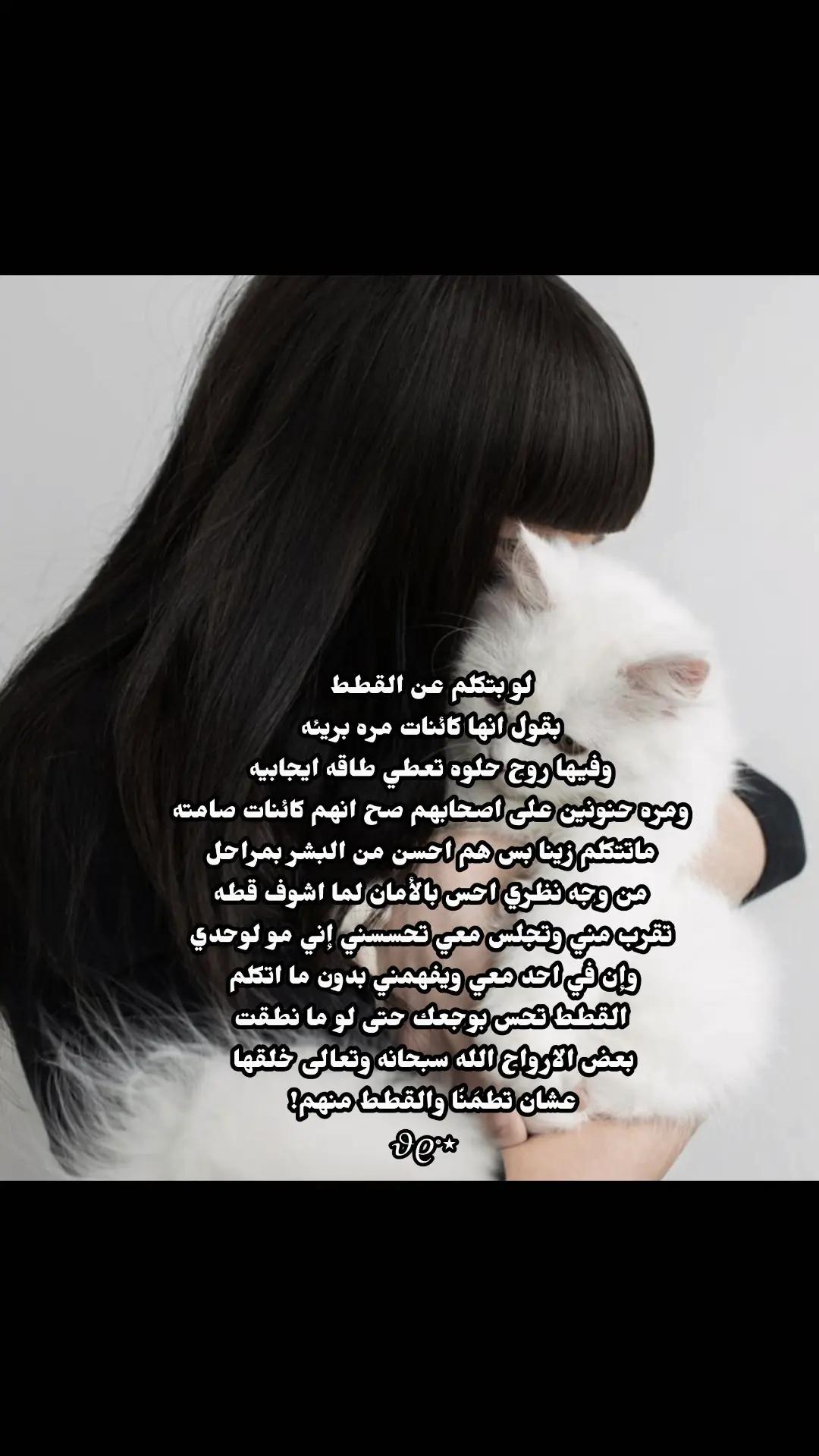 @๐ฏ๐จ๐ต๐ฌ๐ฌ๐ต. โ ๐ ฬ.