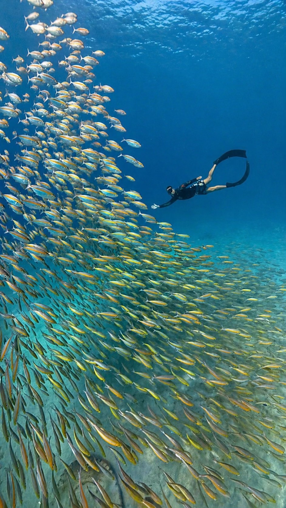 @Love Freediving Nha Trang