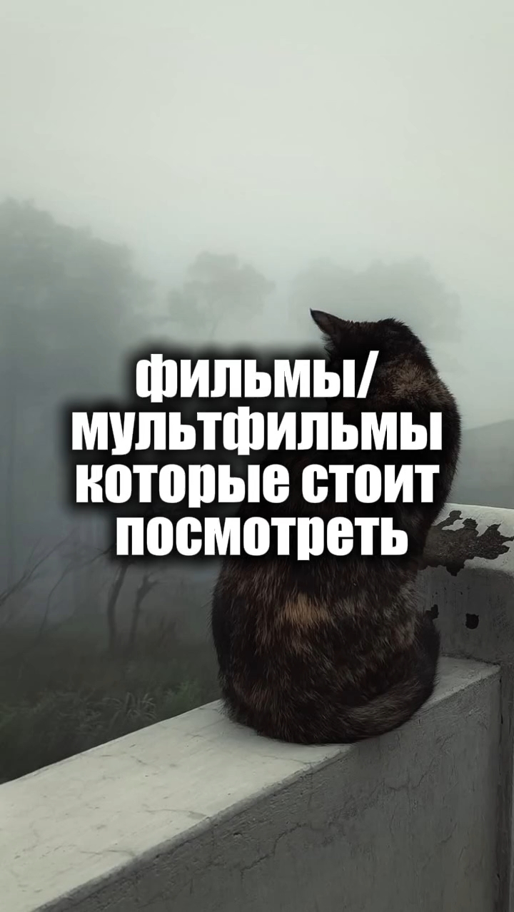 @𝑒𝑙𝑠𝑖𝑒𝑣𝑠𝑘𝑎𝑦𝑎.ꕥ