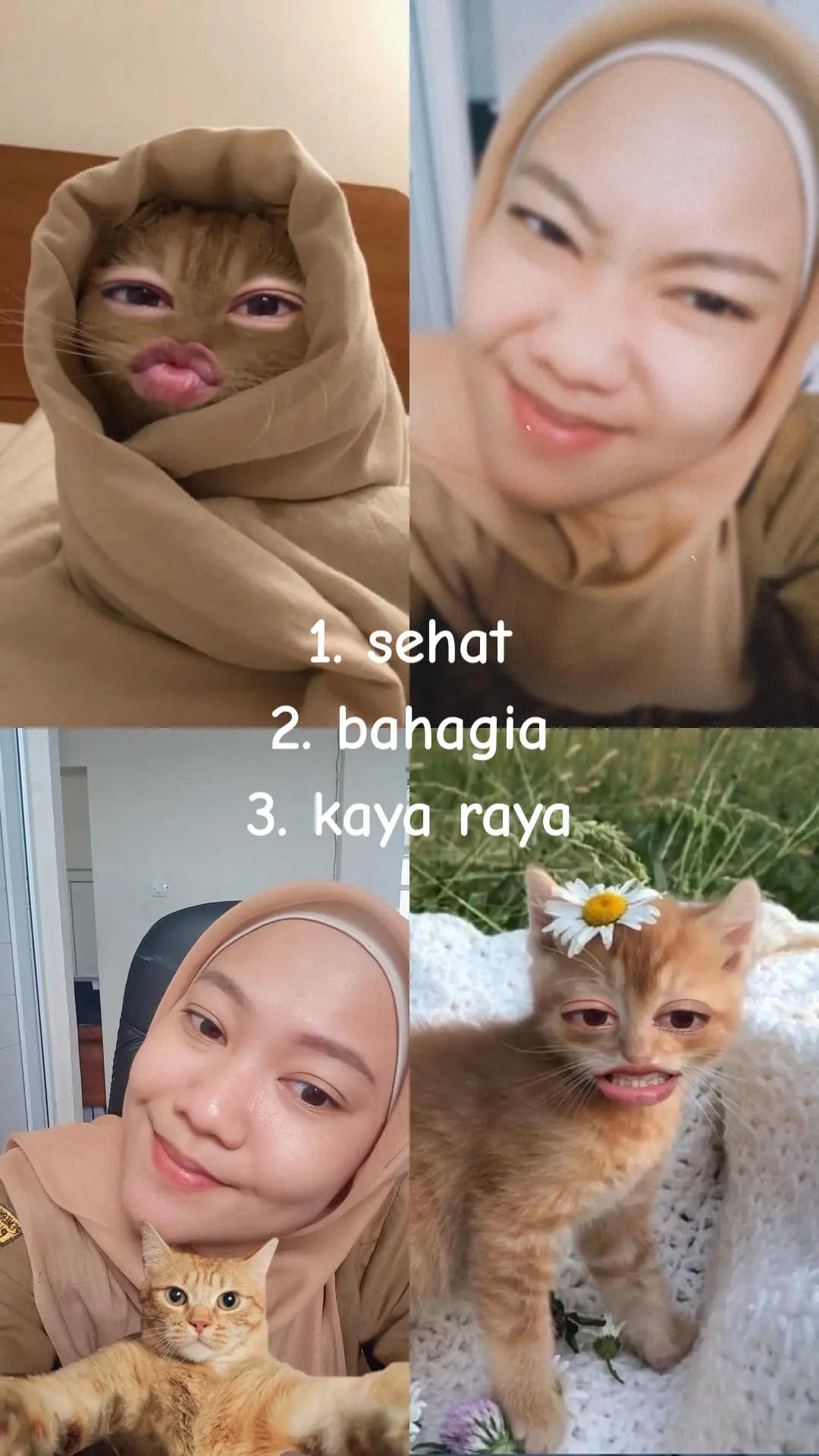 @pepi