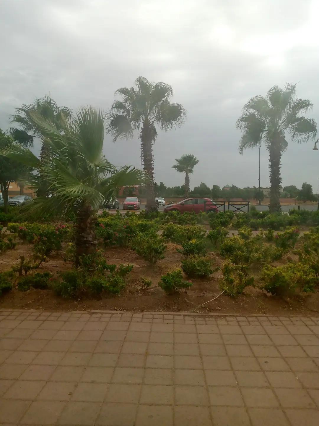 @ملكة التكتوك 😍